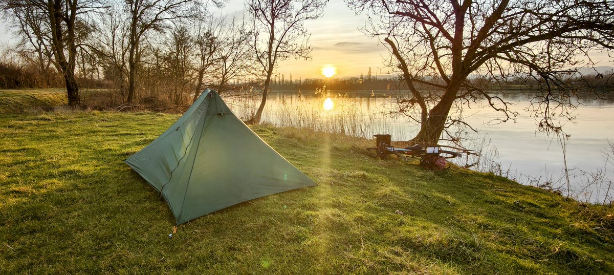 Dave Roe tweet media