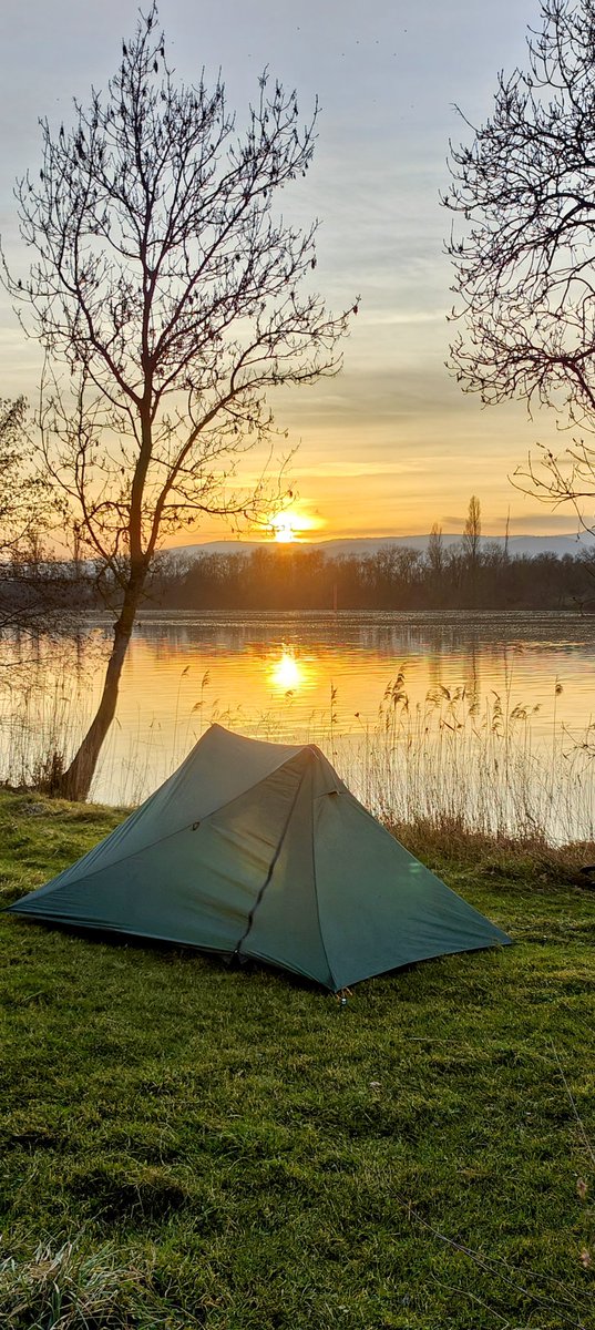 Dave Roe tweet media