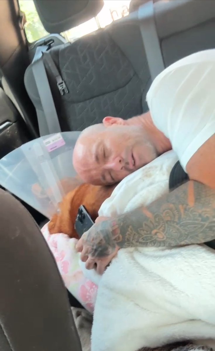 Niall Harbison tweet media