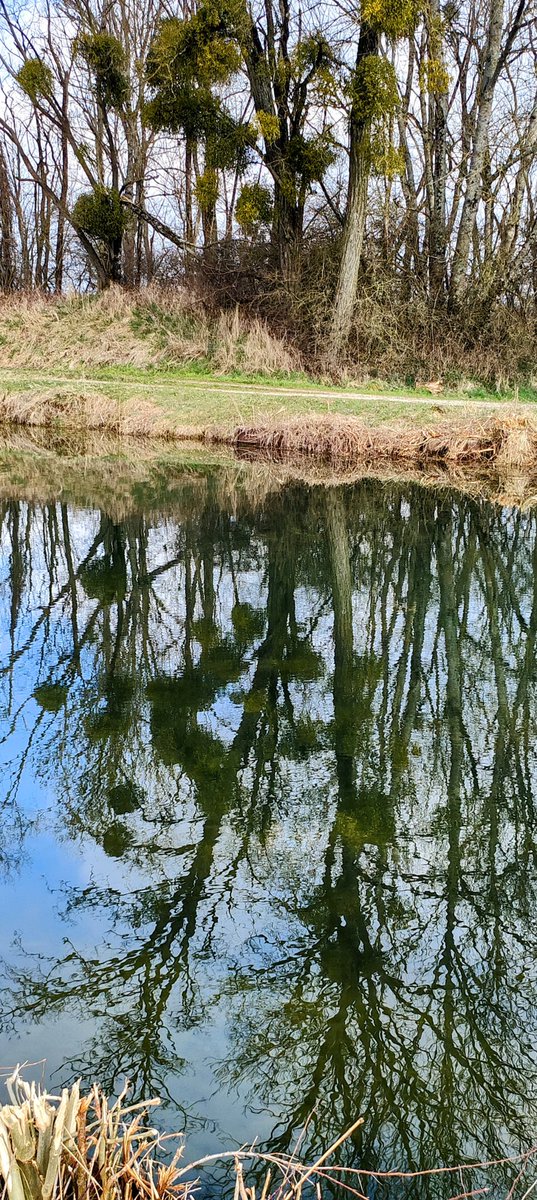 Dave Roe tweet media