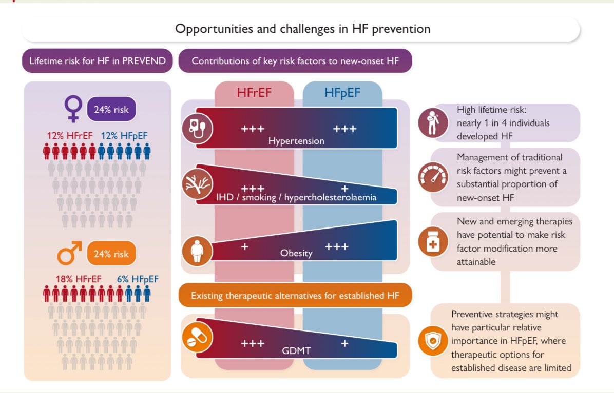 🫀 New data on #HeartFailure prevention! 
#PREVEND study (25 years) shows a 1 in 4 lifetime risk of HF, with modifiable factors playing a key role.

👉🔬 Hypertension is the strongest predictor of HFrEF &amp; HFpEF.
👉💊 Targeted therapies (SGLT2i, GLP-1RA) offer new hope.
👉📉 71%