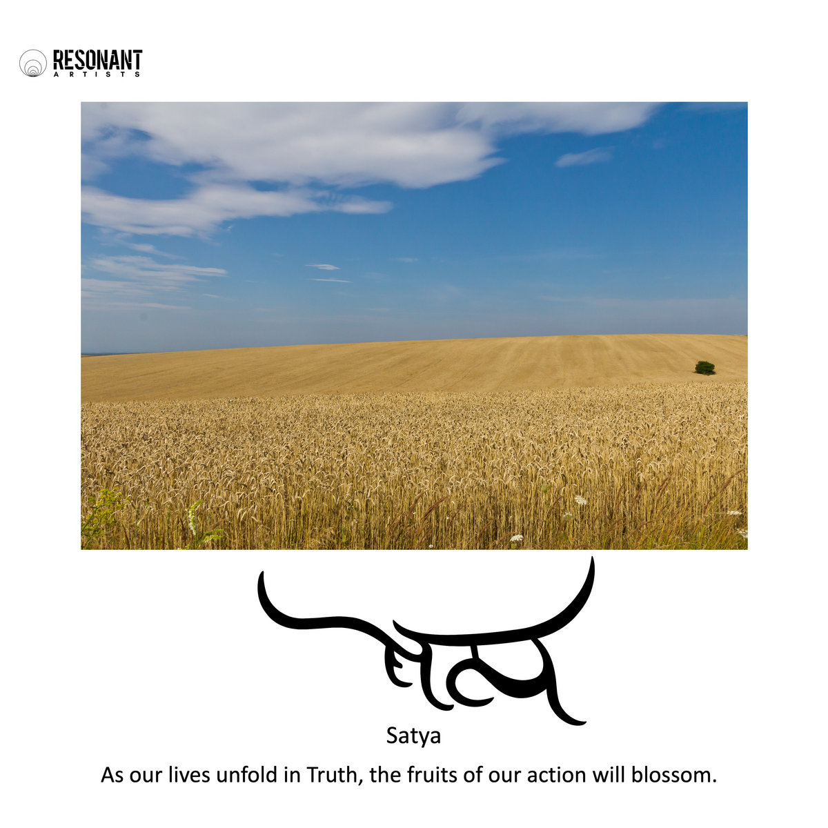 satyaworld.bandcamp.com/album/suite-re…