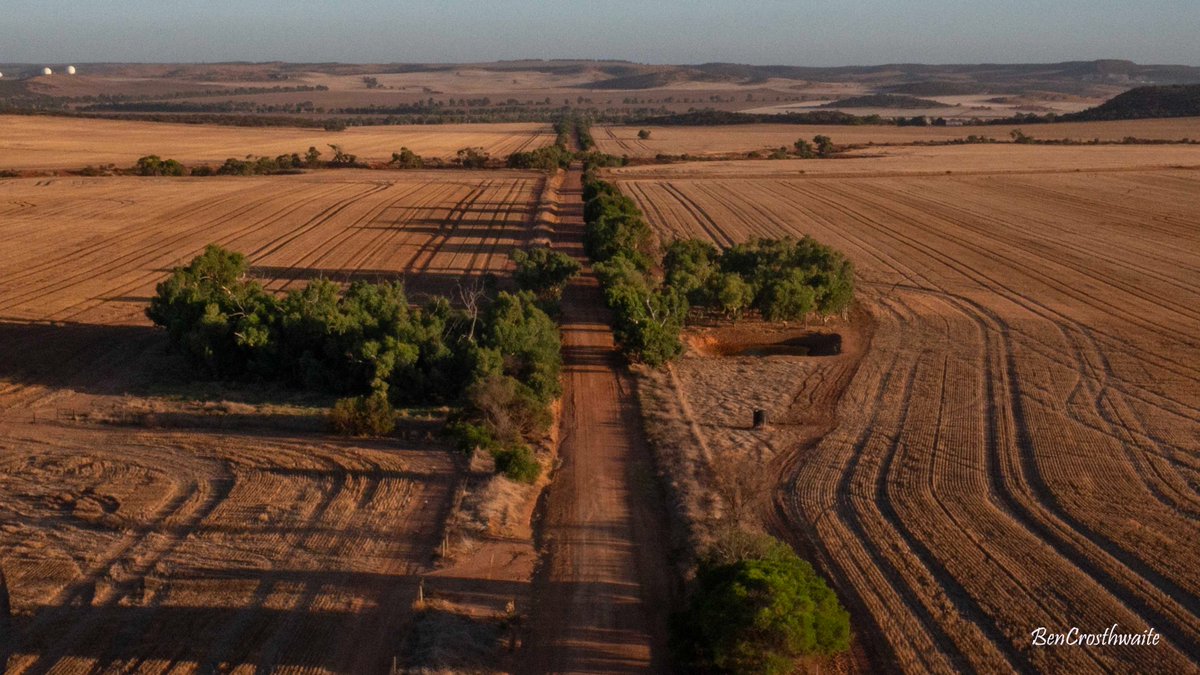 I just love to go for a drive through this beautiful wheat growing country just to the east of Geraldton as the sun goes down.