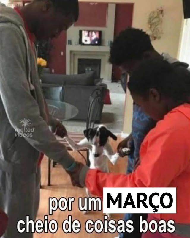 mel tweet media
