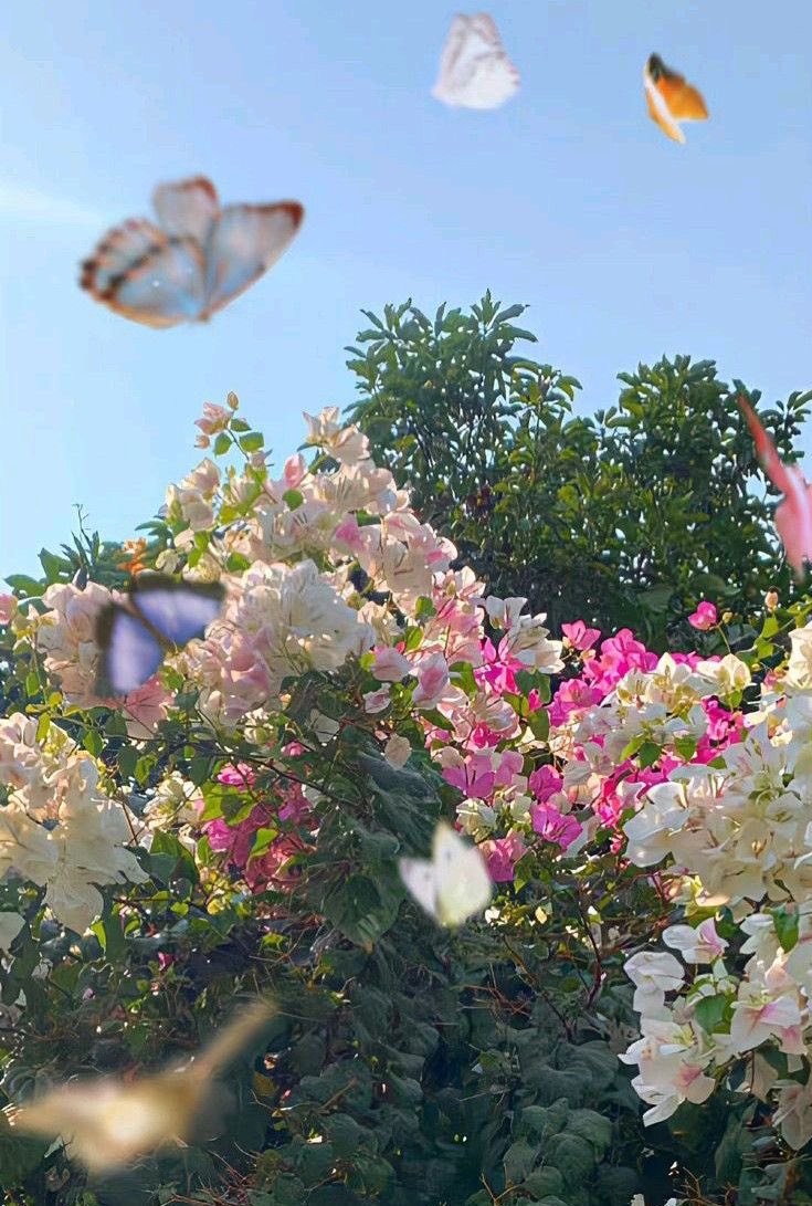 Mucizelerinle gel, Mart✨