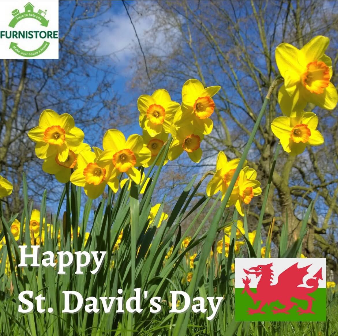 Furnistore's tweet photo. Happy St. David’s Day!🏴
A little charity with a big heart 💚
#Furnistore #Redhill #Recycle #Reuse #Furniture #Charity #StDavidday #stdavidsday #happystdavidsday #happystdavidday2025 #welsh #daffodils https://t.co/gxjRd6YgY5
