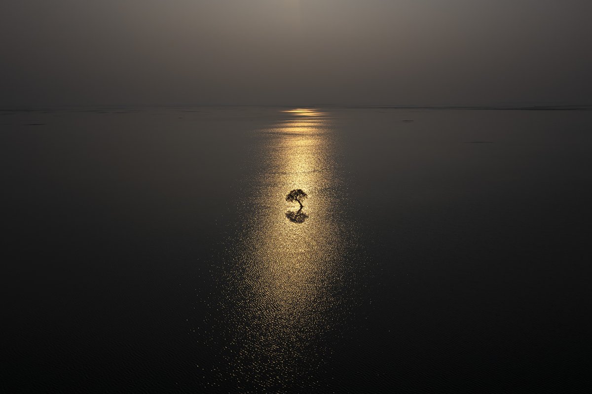 Earth Photo 2025
Last chance to submit your work!

Earth Photo invites submissions from still and moving image makers of all ages, from anywhere in the world, who have a compelling story about our planet. 

The open call closes 3 March. Learn more:
photoworks.org.uk/whats-on/earth…