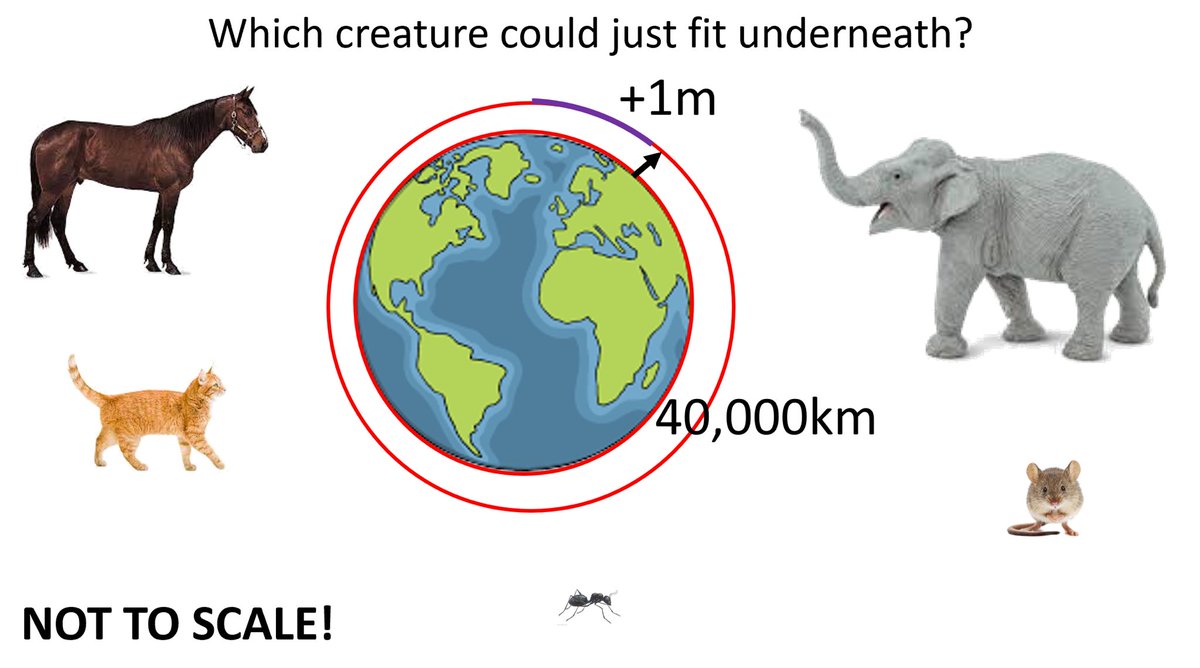 Matt James tweet media