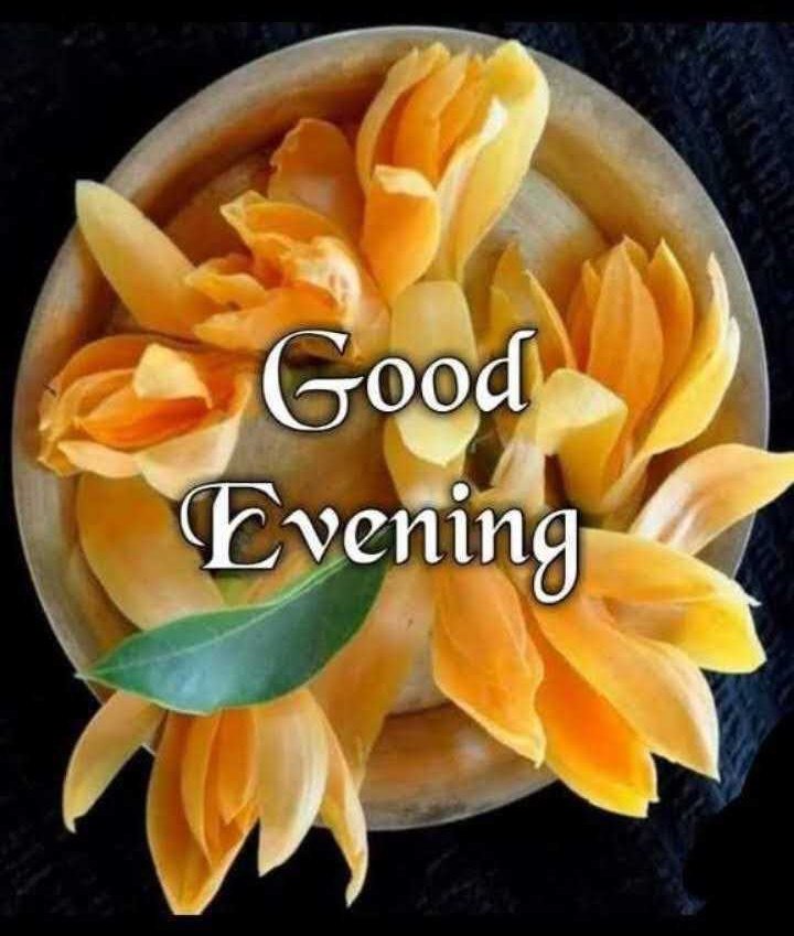 खुद की तरक्की में इतना समय लगा दो कि किसी और की बुराई करने का समय ही ना मिले...!!!

Good evening dear X friend's