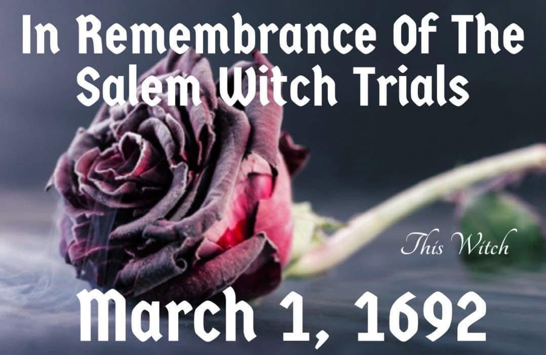 Mimi Foxmorton 🌸 (@foxmorton) on Twitter photo 