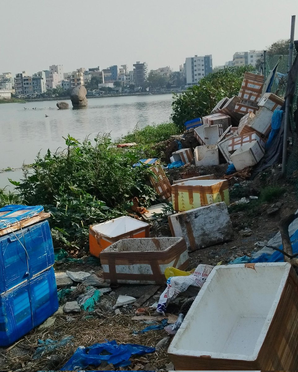 Uppu Jaswanth, called on <a href="/Comm_HYDRAA/">HYDRAA</a> Ranganath to address encroachments and pollution at #AmbhirPond, including illegal dumping and meat waste from vendors. Local leaders support the need for a thorough survey and protection of the area. <a href="/TelanganaCMO/">Telangana CMO</a> #SaveGovtLands #SaveLakes