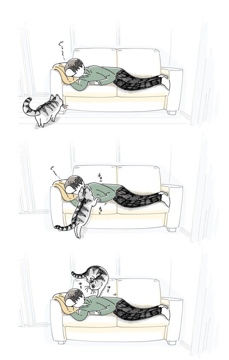 キュルZ tweet media