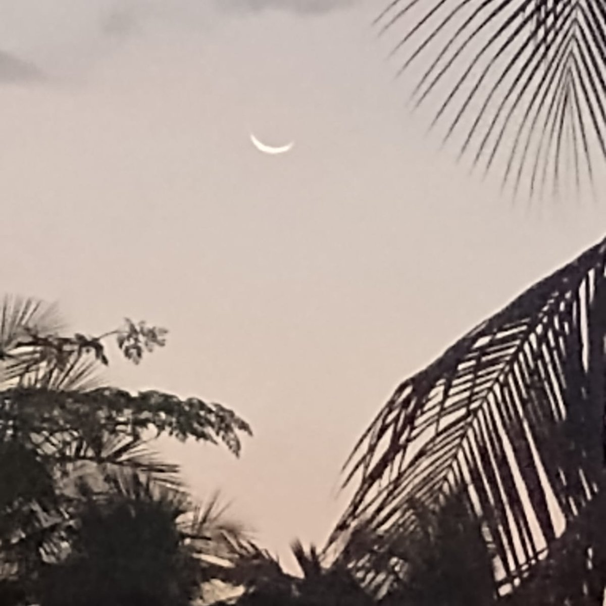 Third crescent 🌙 
Third day moon today