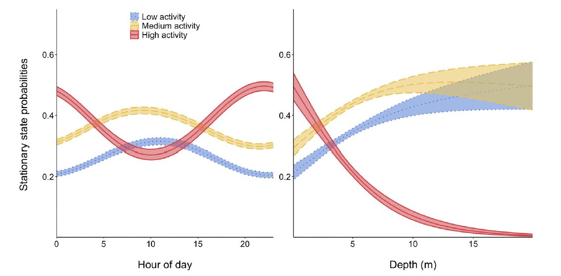 Yannis Papastamatiou (@dr_yannis) on Twitter photo New <a href="/peclabfiu/">Predator Ecology & Conservation Lab</a> paper! We use accelerometers to look at behavior of stingrays off Belize. A lot of individual variability in diel patterns but all rays were consistent in being most active in shallow water. This may signify important foraging habitats
cdnsciencepub.com/doi/abs/10.113… New <a href="/peclabfiu/">Predator Ecology & Conservation Lab</a> paper! We use accelerometers to look at behavior of stingrays off Belize. A lot of individual variability in diel patterns but all rays were consistent in being most active in shallow water. This may signify important foraging habitats
cdnsciencepub.com/doi/abs/10.113…
