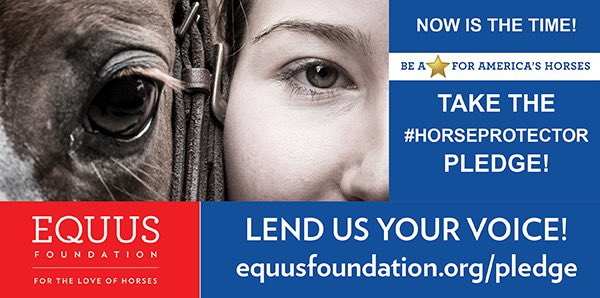 equusfoundation.org/news/releases/…
National Horse Protection Week starts today -- a week-long campaign to demonstrate that America's horses deserve to live in comfort &amp; with purpose &amp; dignity throughout their lives. Here’s how can you help!
