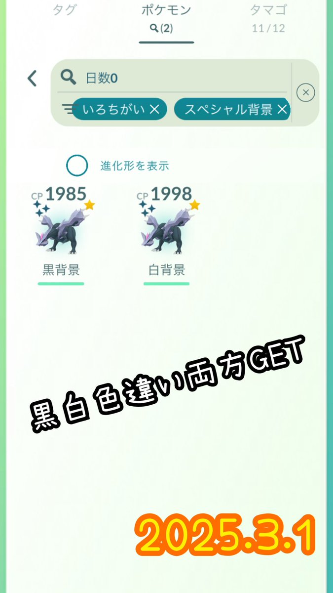 GOツアーイッシュ1日目
腰が痛くてレイドメイン
キュレム86戦ハラチ2匹の💯が1匹
でした〜
キラ交換もイッパイ出来て感謝😋
明日は出来ないなガーン🥹