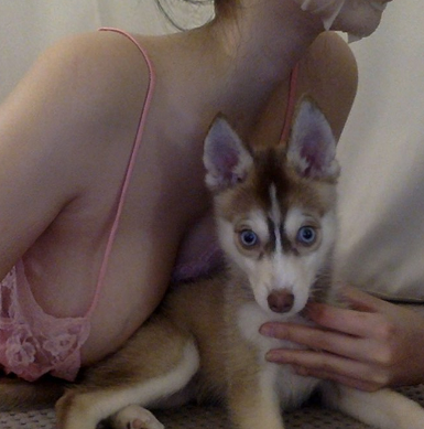 携小狗打招呼~ #肌肉女 #健身