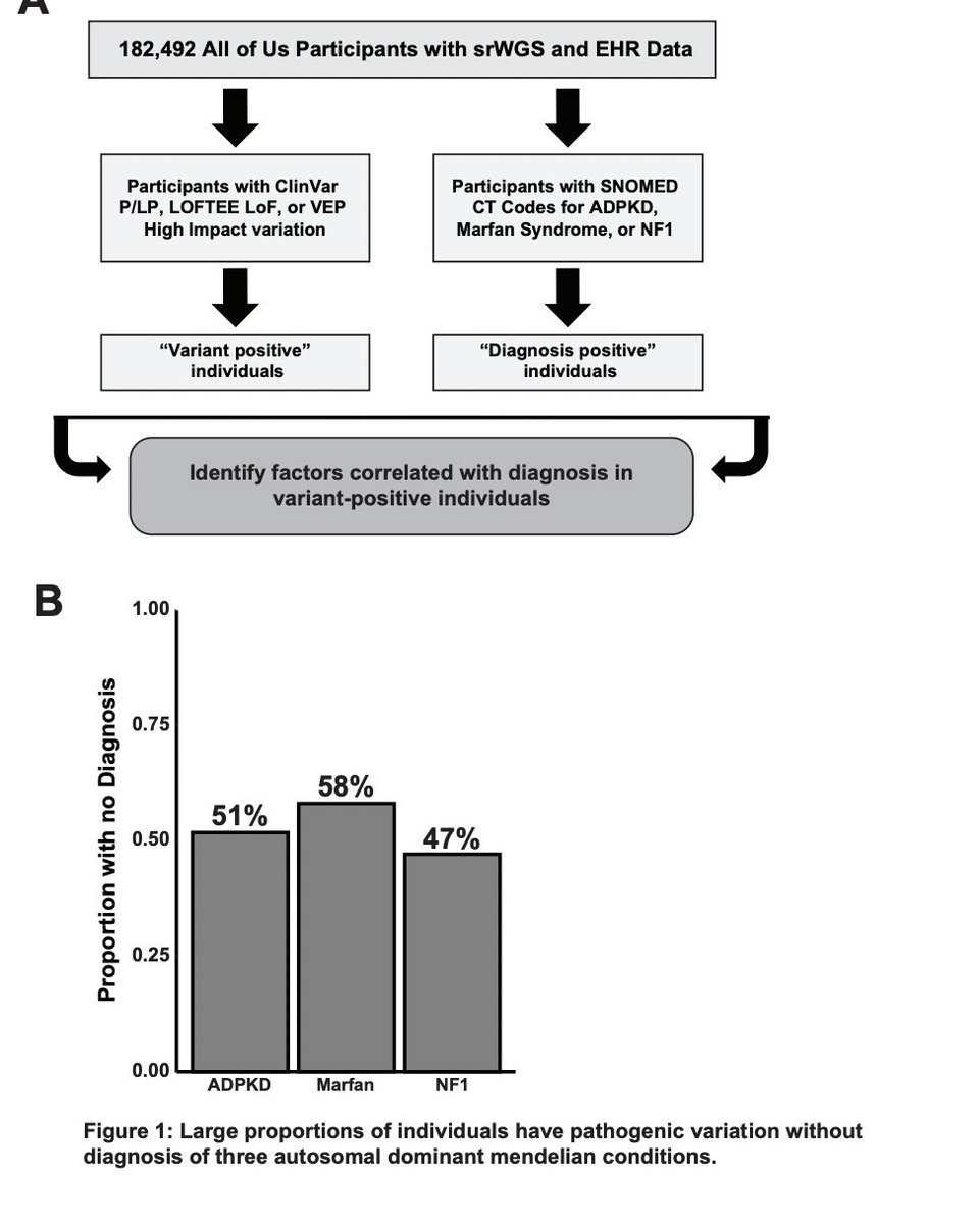 Interesting: ~50% of people in the All of Us biobank with  pathogenic variants for dominant genetic disorders have no corresponding diagnosis and presumably are unaware medrxiv.org/content/10.110…