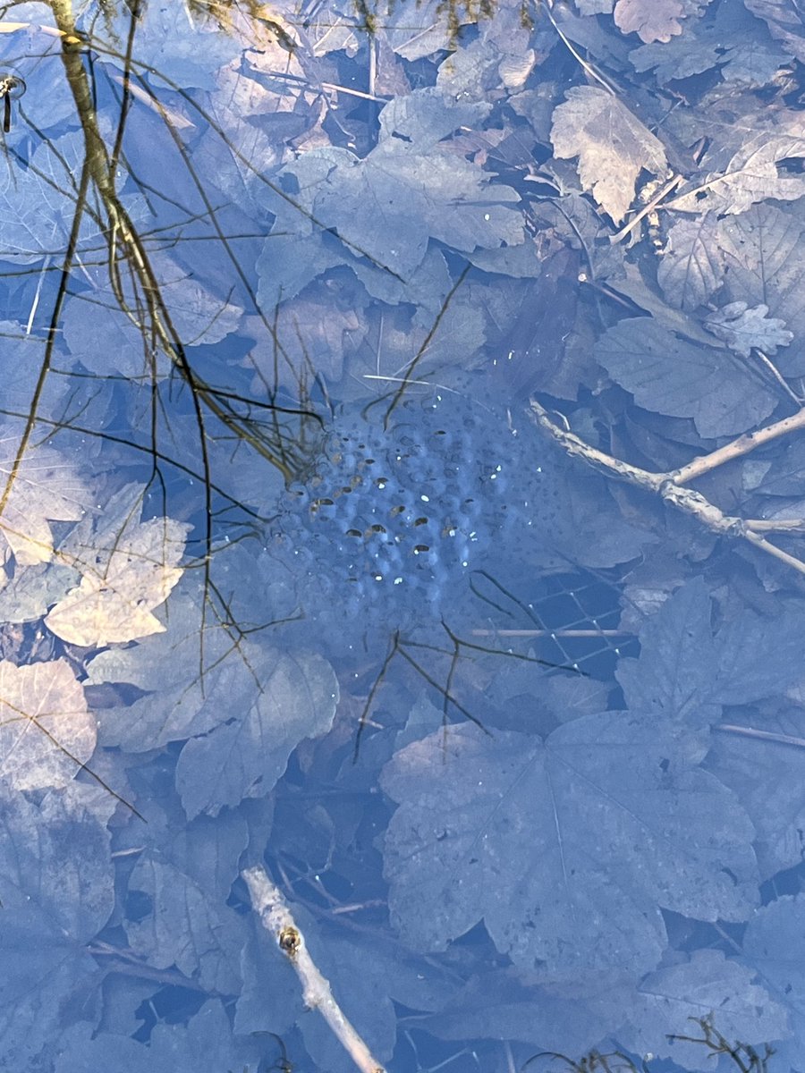 Fariha Karim tweet media