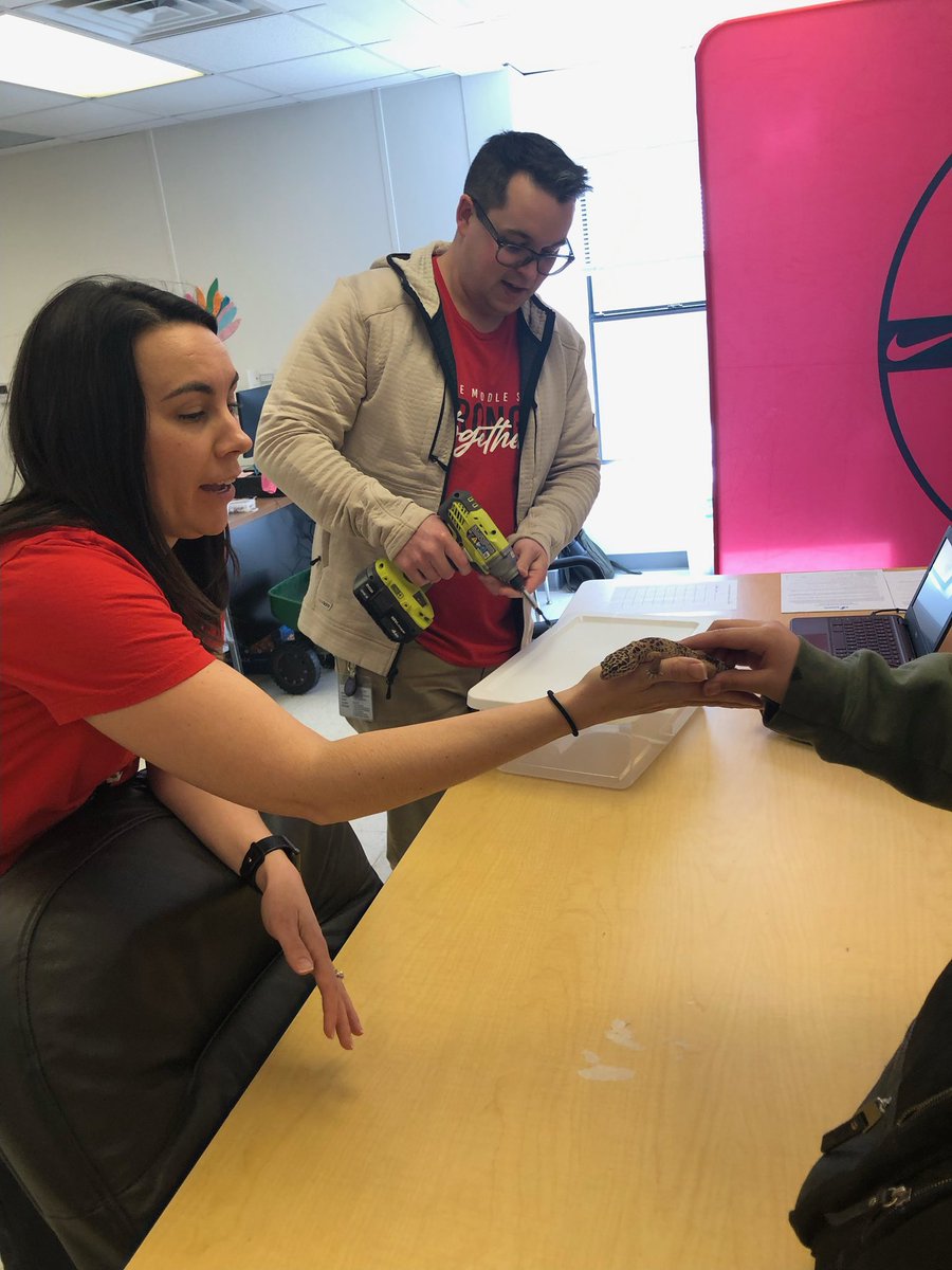 Well… this was a first. I had to confiscate a gecko from a student. She was carrying it around in her backpack. Frankie, the gecko, spent the rest of the day safely in our office. #lifeofanAP #middleschoollife