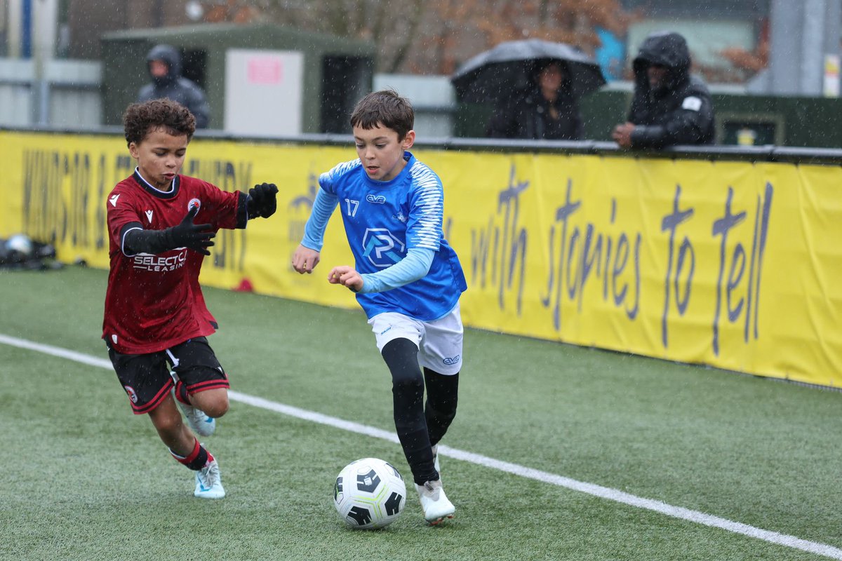 David Shepherd tweet media