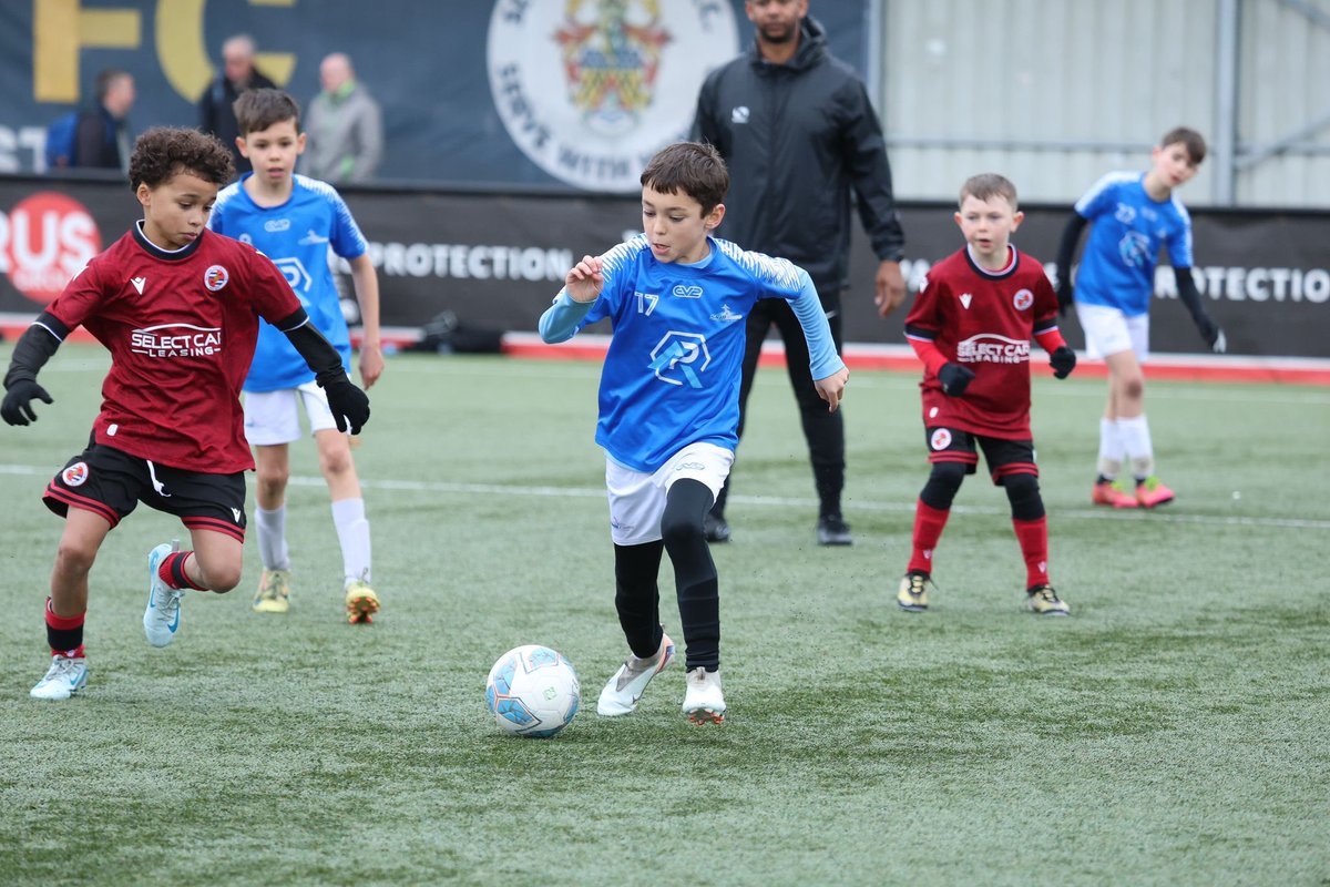 David Shepherd tweet media