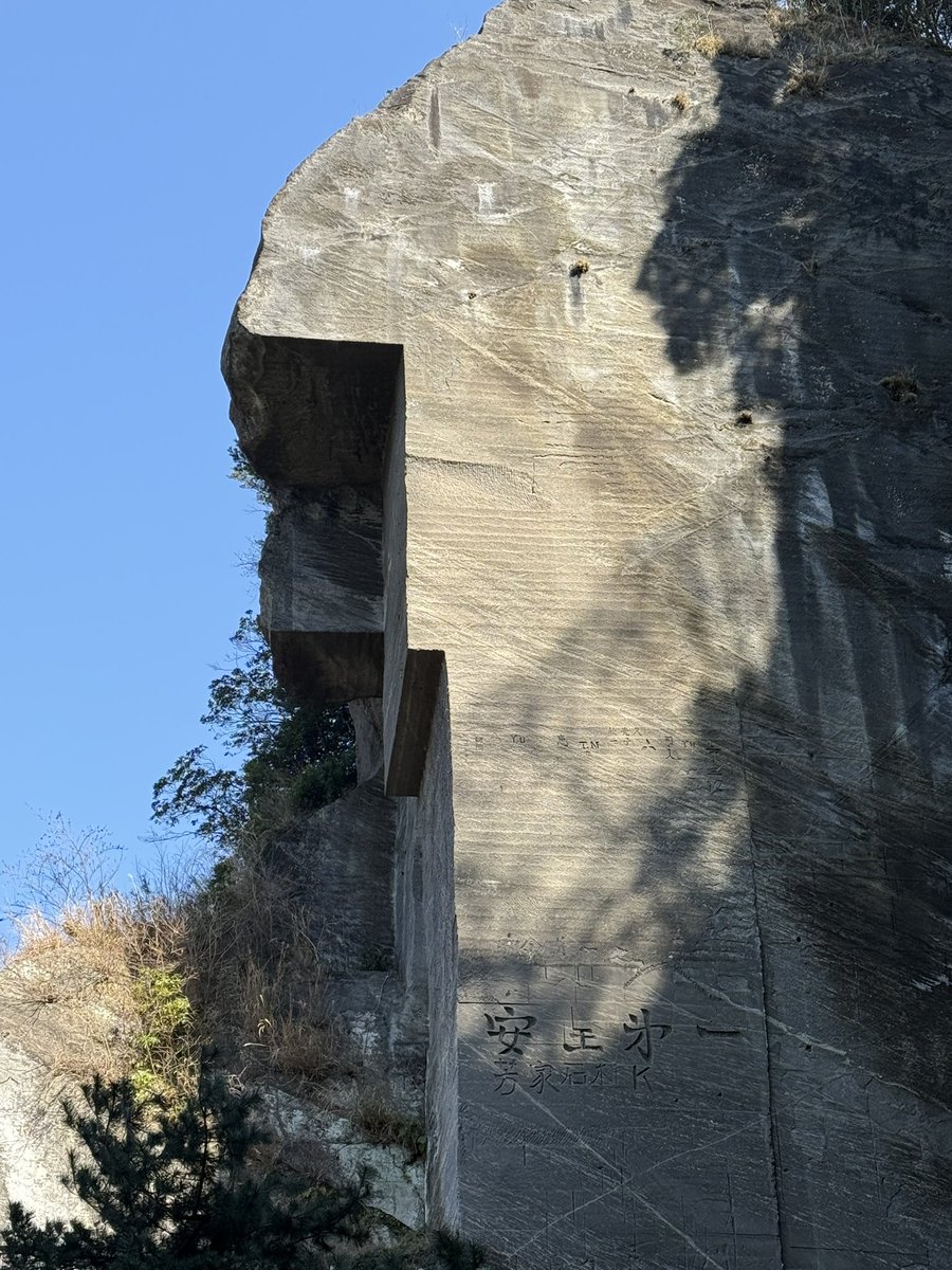 今日の登山は、ひざが爆破しませんでした。ありがとうございました⛰️