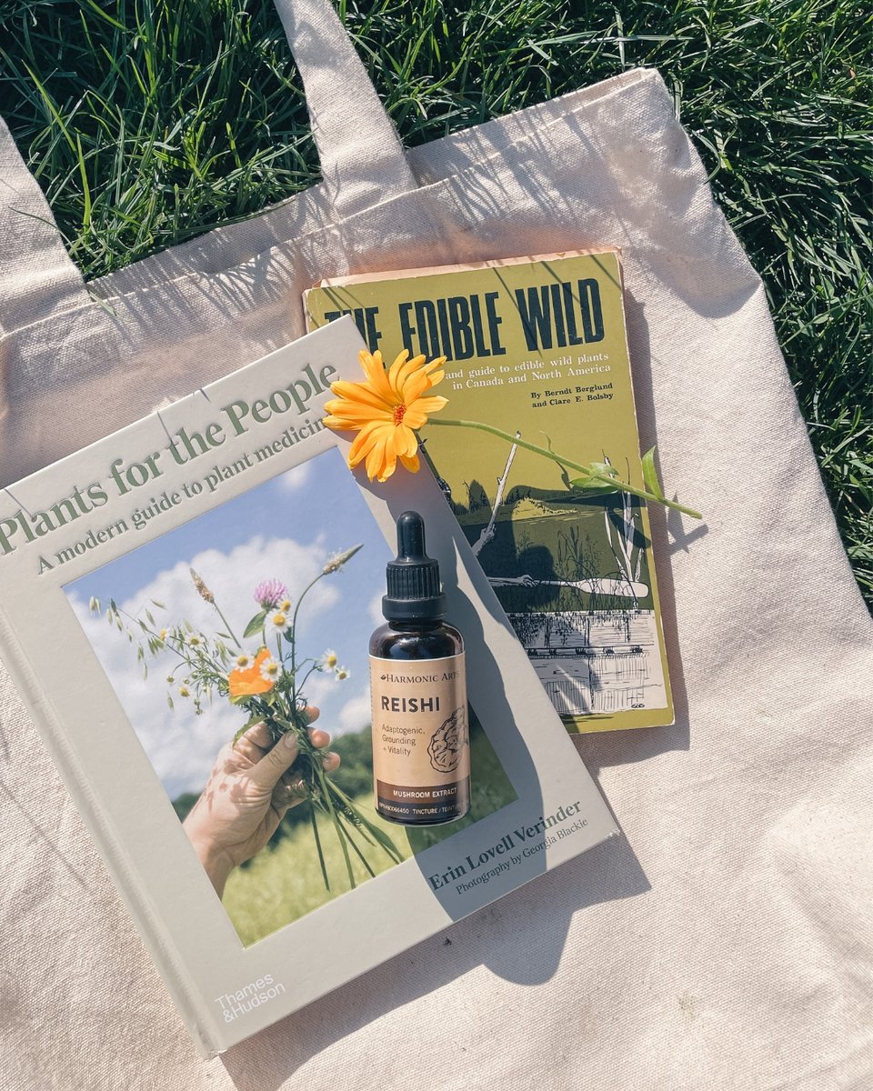 YesWellness's tweet photo. Saturday morning essentials. 🌻
⁠
Whether you're off to the park, hiking in the mountains, or exploring the local farmer's market, don't forget to bring along your @harmonic_arts Reishi Mushroom Extract Tincture.

Shop now at https://t.co/ghcJTM8g6r
⁠
Repost via @harmonic_arts https://t.co/RVBIrnZnTD