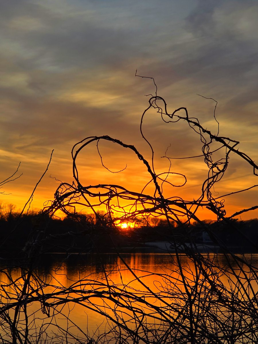 Welcome March 🌅🌊🧜‍♀️