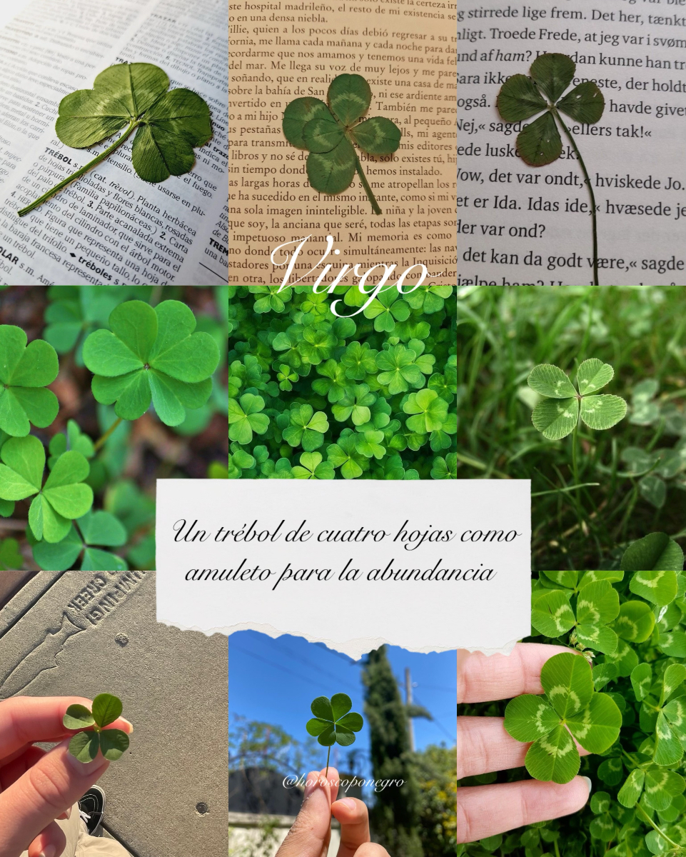 virgo_hn's tweet photo. Un trébol en tu cartera puede atraer muchas cosas buenas 🍀 https://t.co/vRmDL7yrWL
