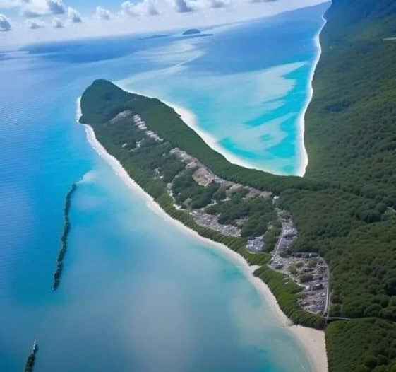 Polanco | IA tweet media