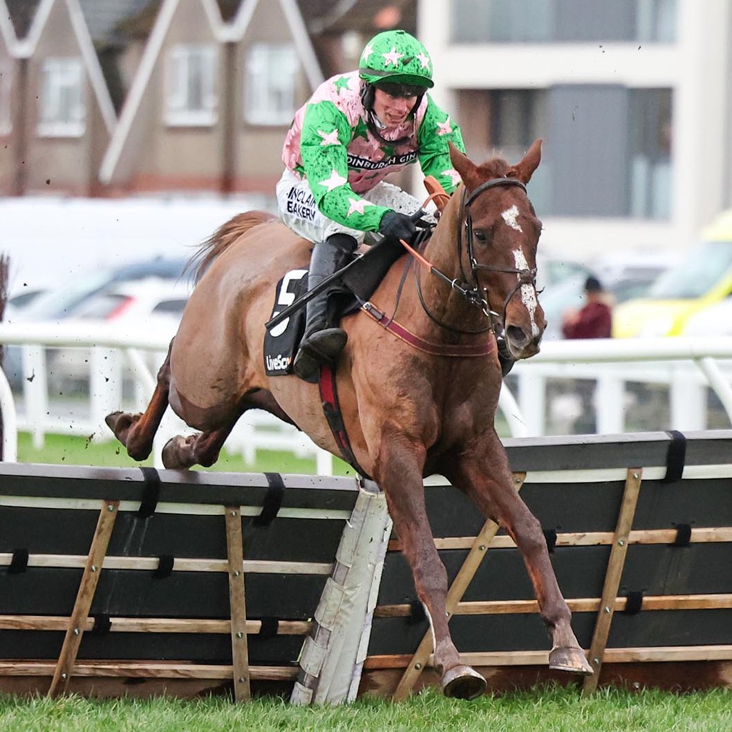 BOLD LIGHT wins the bet365 Handicap Hurdle at Kelso 👏