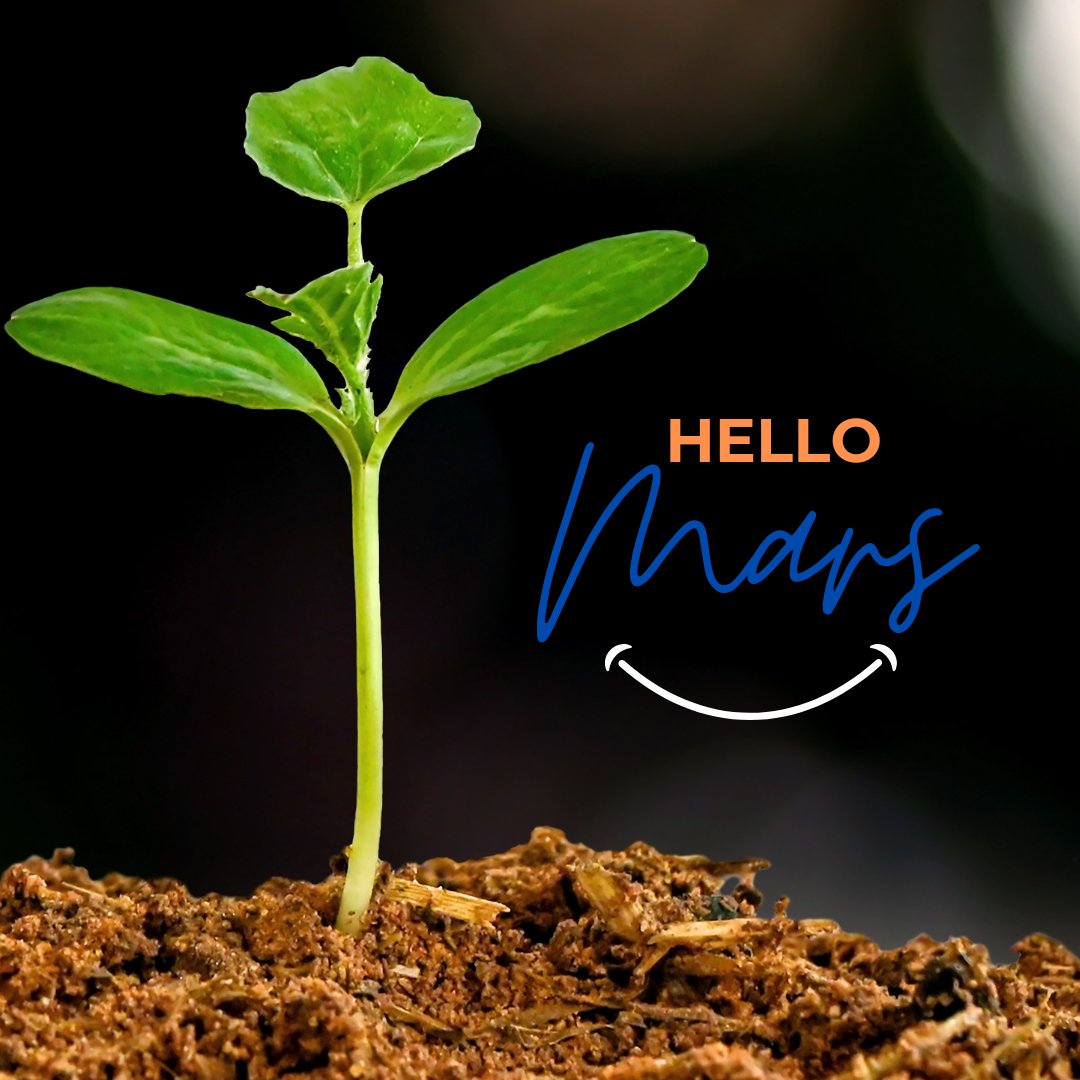 ✨ Mars, le mois des opportunités !

Osez, créez, connectez. Chaque pas vous rapproche du succès. Avec LevelPlus, bâtissez votre avenir dès aujourd’hui.
#Business #EntrepreneurLife #Africa #TechTrends