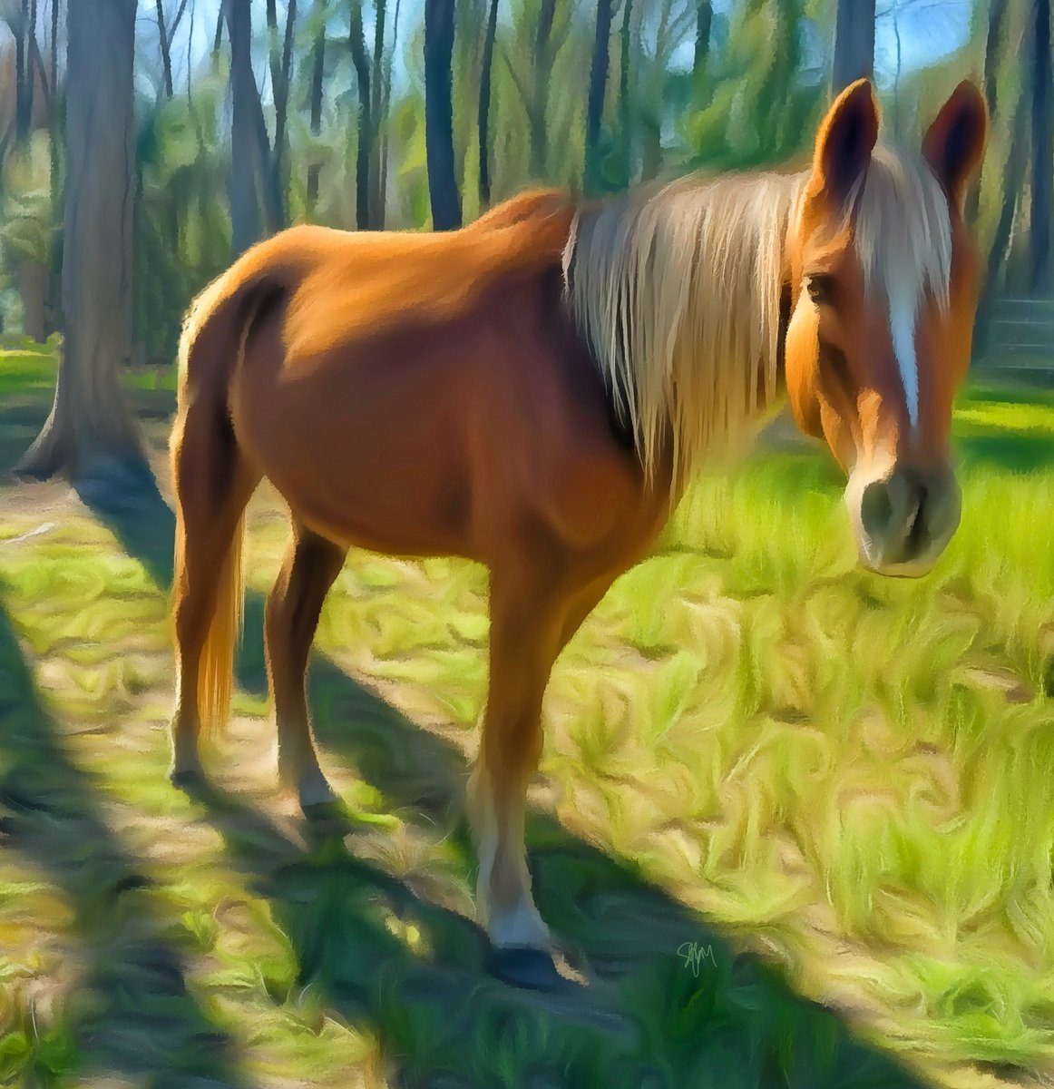 MosherSusan's tweet photo. In Loving Memory of Roy 
We said goodbye to Roy, our golden Tennessee Walker, whose gentle spirit left hoofprints on our hearts. I had the honor of painting him—now, this piece is a tribute to a life well-loved.
Run free,Roy. You’ll never be forgotten.
#RestEasyRoy #HorseTribute https://t.co/ASGJUePAgO