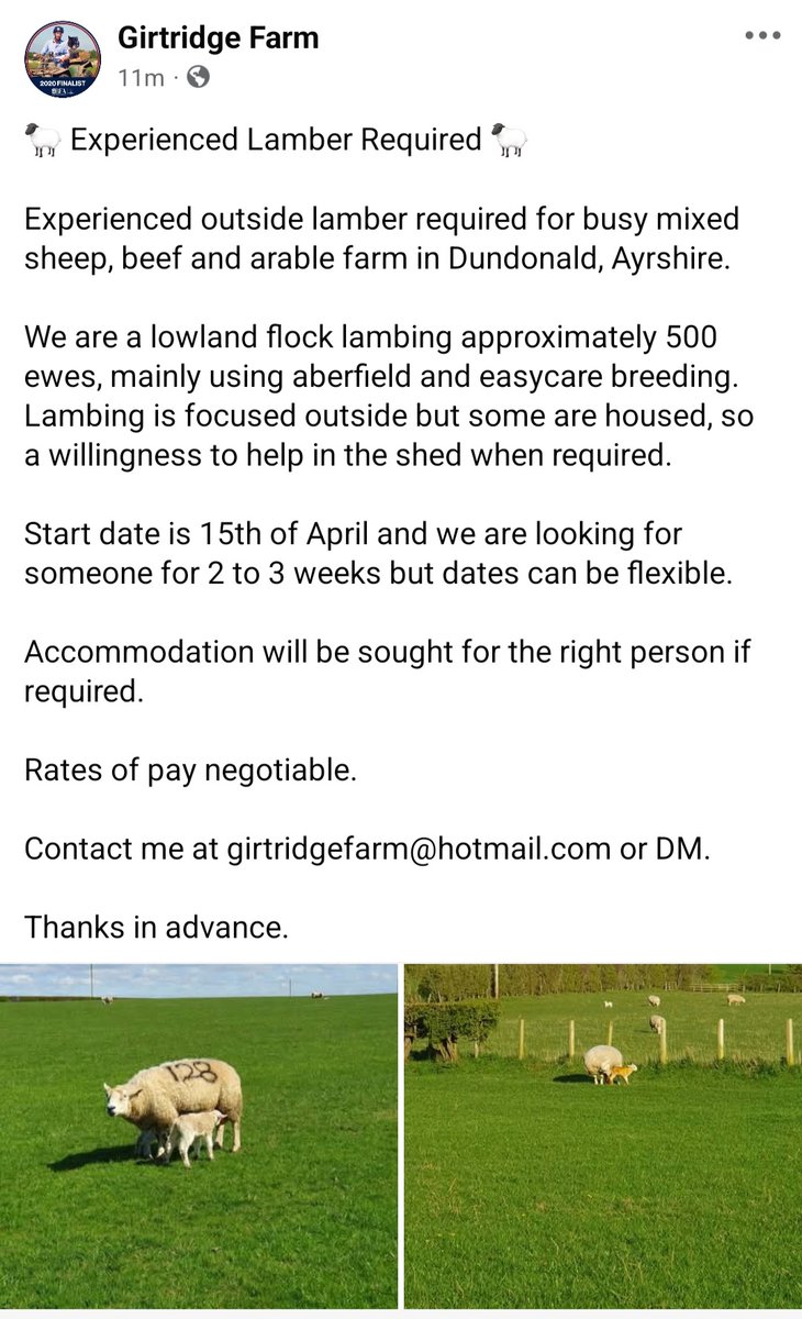 Looking for some help 🙂