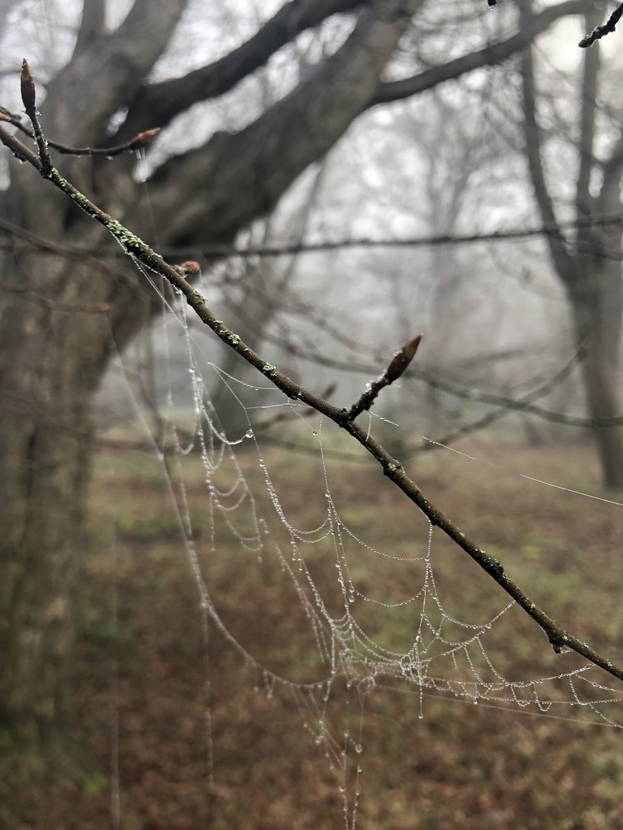 Mark Camley tweet media