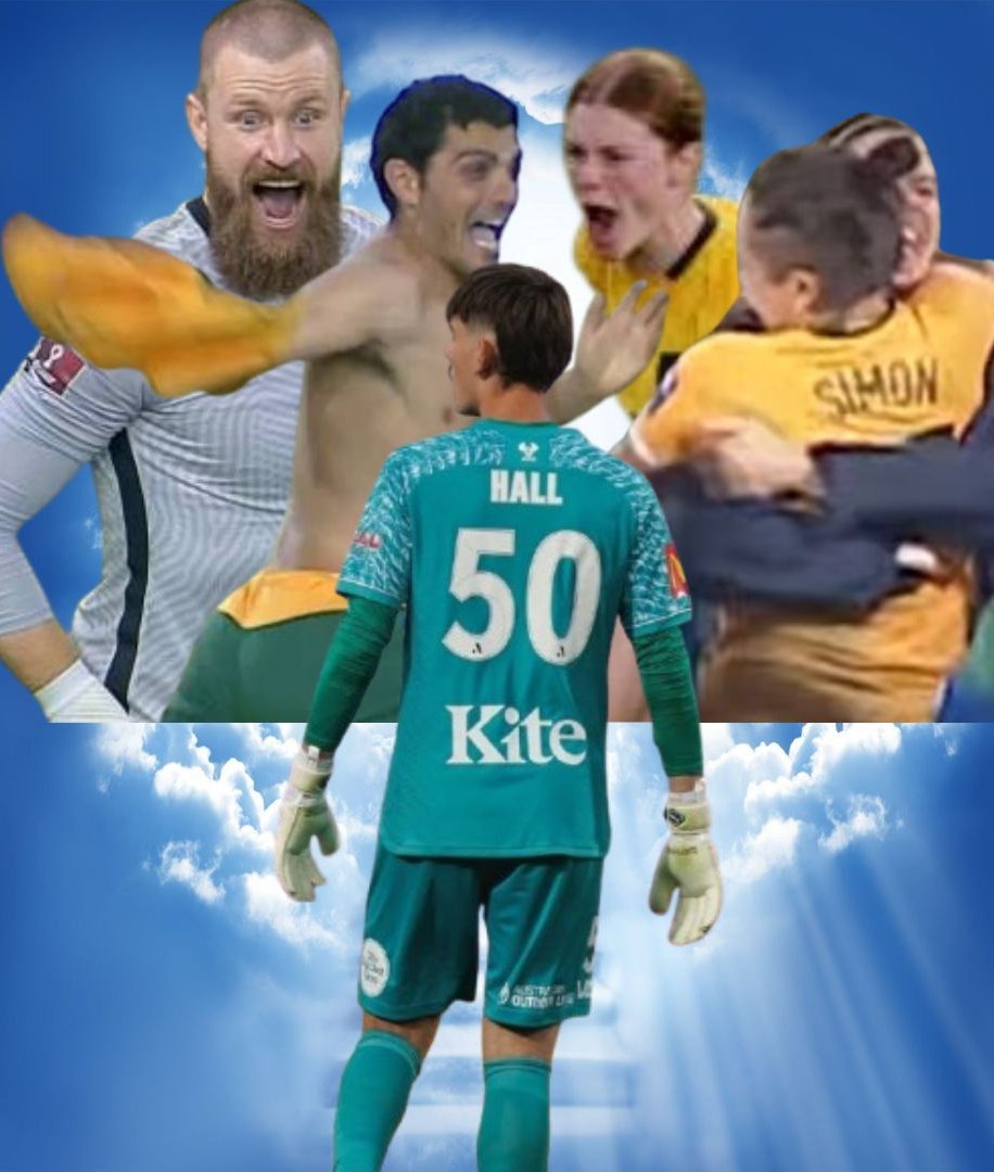 curtis fan tweet media