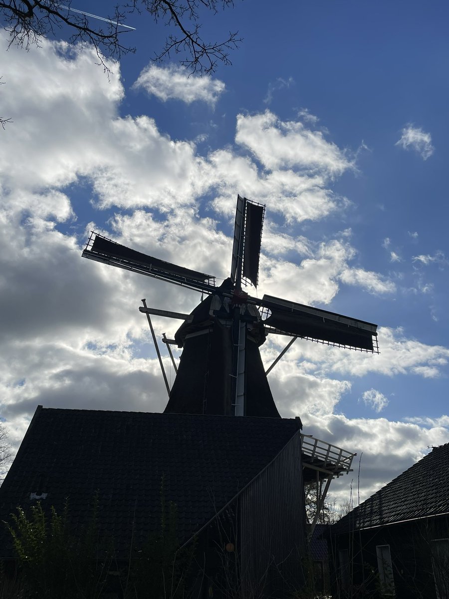 Wat een plaaaaatje! Zo staat onze prachtige molen er mooi bij! 

Ben je vandaag al langs geweest? We zijn nog een uur geopend, kom mooie boeken uitzoeken of geniet in het zonnetje van dit uitzicht 😍

Elke zaterdag geopend van 13.30 tot 16.30
#Molen #Havelte #Monument