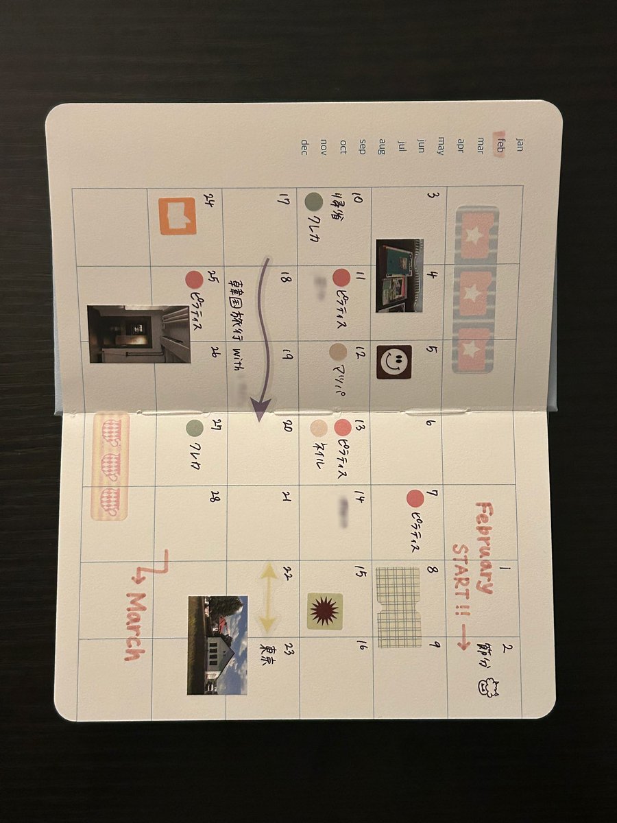 sakura tweet media