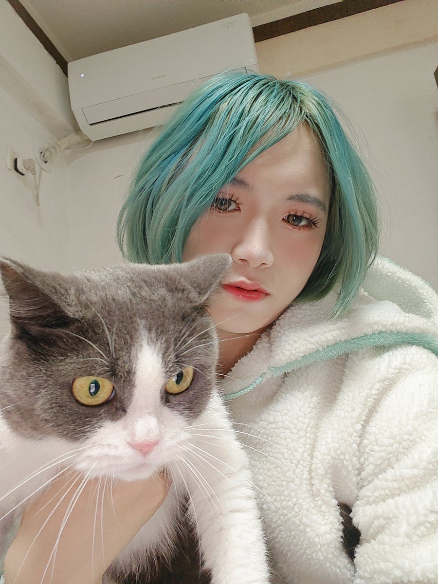铃鹿 (@wsll20001) on Twitter photo 