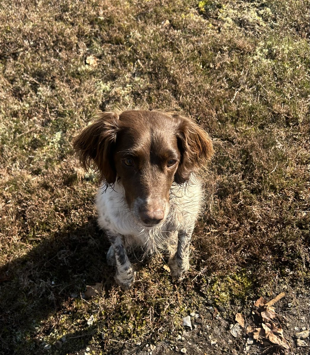 Megs, me, a good book and a break from the world…