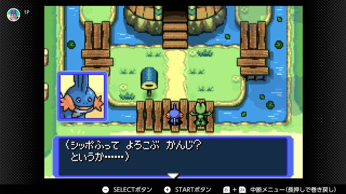 mokai_neko's tweet image. とてもかわいい〜…❣️