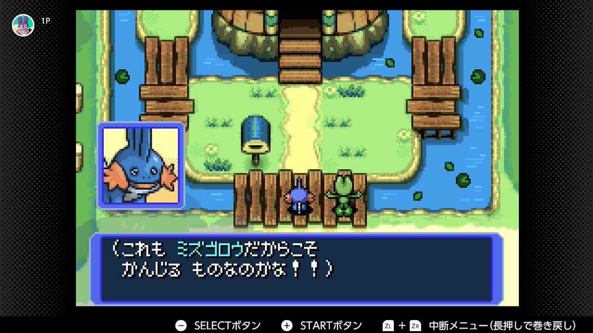 mokai_neko's tweet image. とてもかわいい〜…❣️