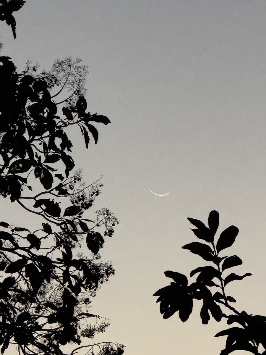 Ramadan Mubarak!
Wishing everyone a blessed and peaceful #Ramadan. May this month bring us all closer to compassion, gratitude &amp; unity. Praying for a world filled with peace, kindness &amp; understanding.
Taking a break 4m social media for the month - feel free to reach out on WA