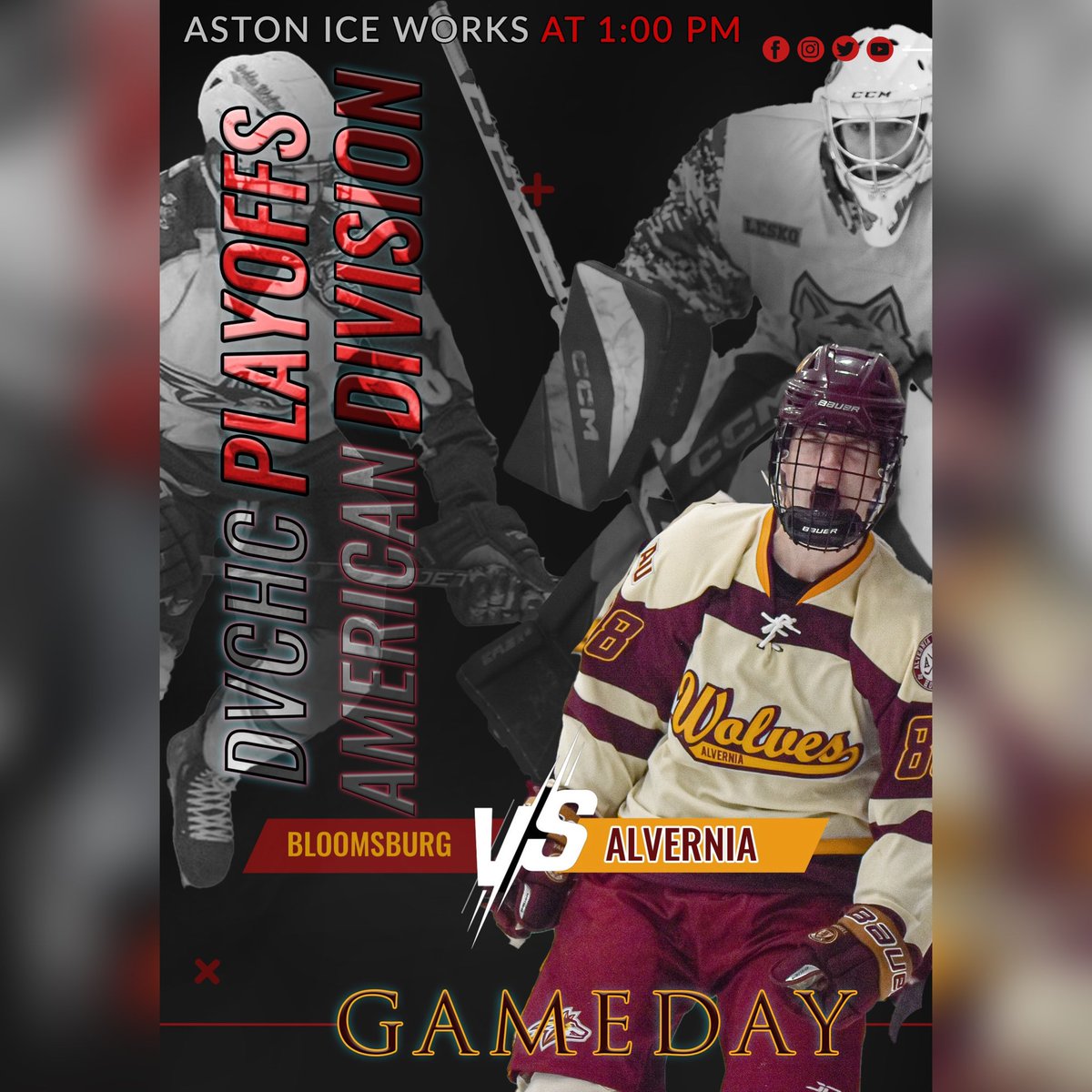 Alvernia Men’s AAU Ice Hockey tweet media