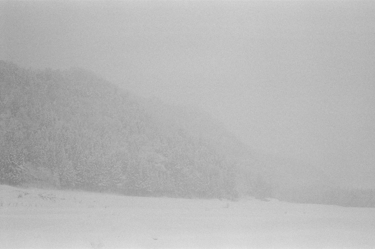 pirozhki_umauma's tweet image. 冬はモノクロ

Rollei35S
Lomography LadyGrey

#rollei35 #monochrome #フィルムカメラ