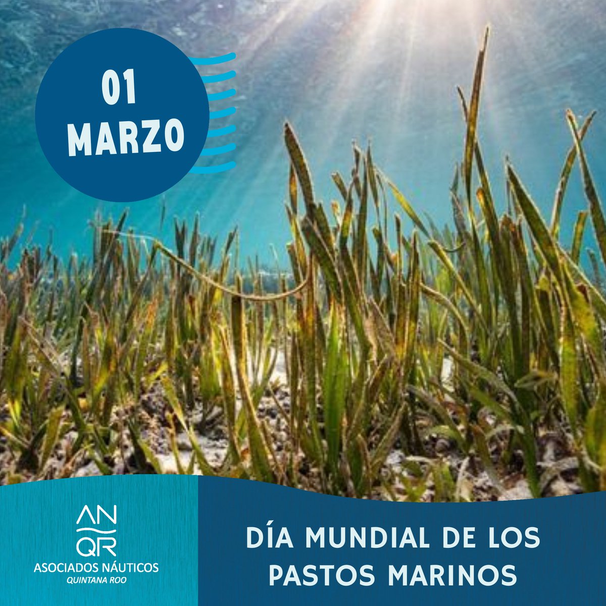 Día Mundial De Los Pastos Marinos.