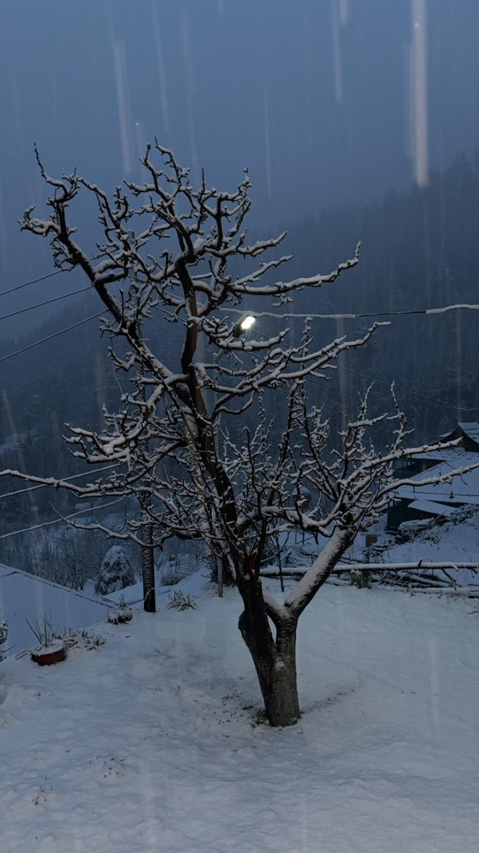 thiyafarms's tweet photo. This unusual weather pattern has created a mixed bag of conditions. Although places have received generous amounts of snow,other regions are still grappling with the impacts of rain instead of the much-needed snowpack.
 #Snowfall #WinterVibes #NatureLovers #Relief #WeatherUpdate https://t.co/dWghPuhhQQ