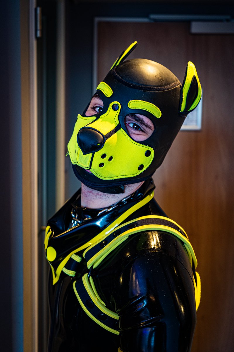 puppytoto tweet media