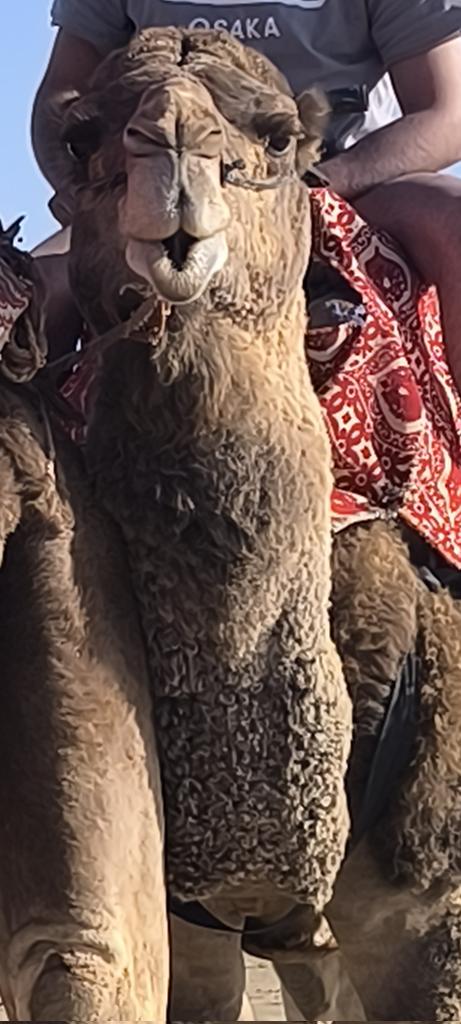 zedmonsta's tweet image. 🇲🇦